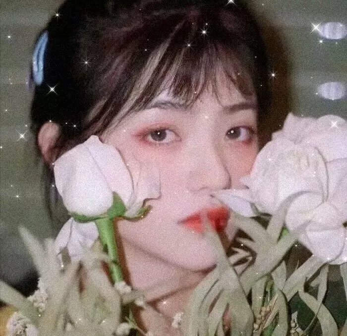 悠悠故人情